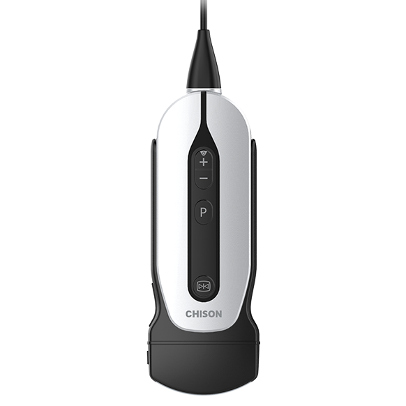 Scheda tecnica Sonda di portata volumetrica FloXact ™ per trasduttore