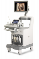 MEDISON Accuvix A30